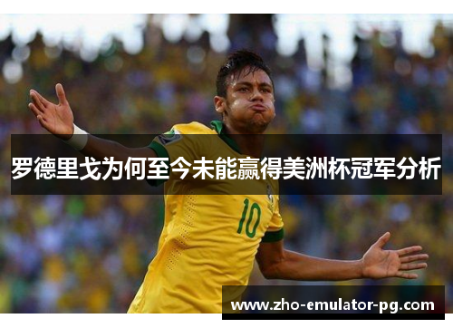 罗德里戈为何至今未能赢得美洲杯冠军分析 罗德里戈为何至今未能赢得美洲杯冠军分析