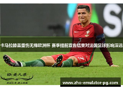 卡马拉膝盖重伤无缘欧洲杯 赛季提前宣告结束对法国足球影响深远 卡马拉膝盖重伤无缘欧洲杯 赛季提前宣告结束对法国足球影响深远