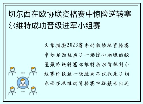切尔西在欧协联资格赛中惊险逆转塞尔维特成功晋级进军小组赛